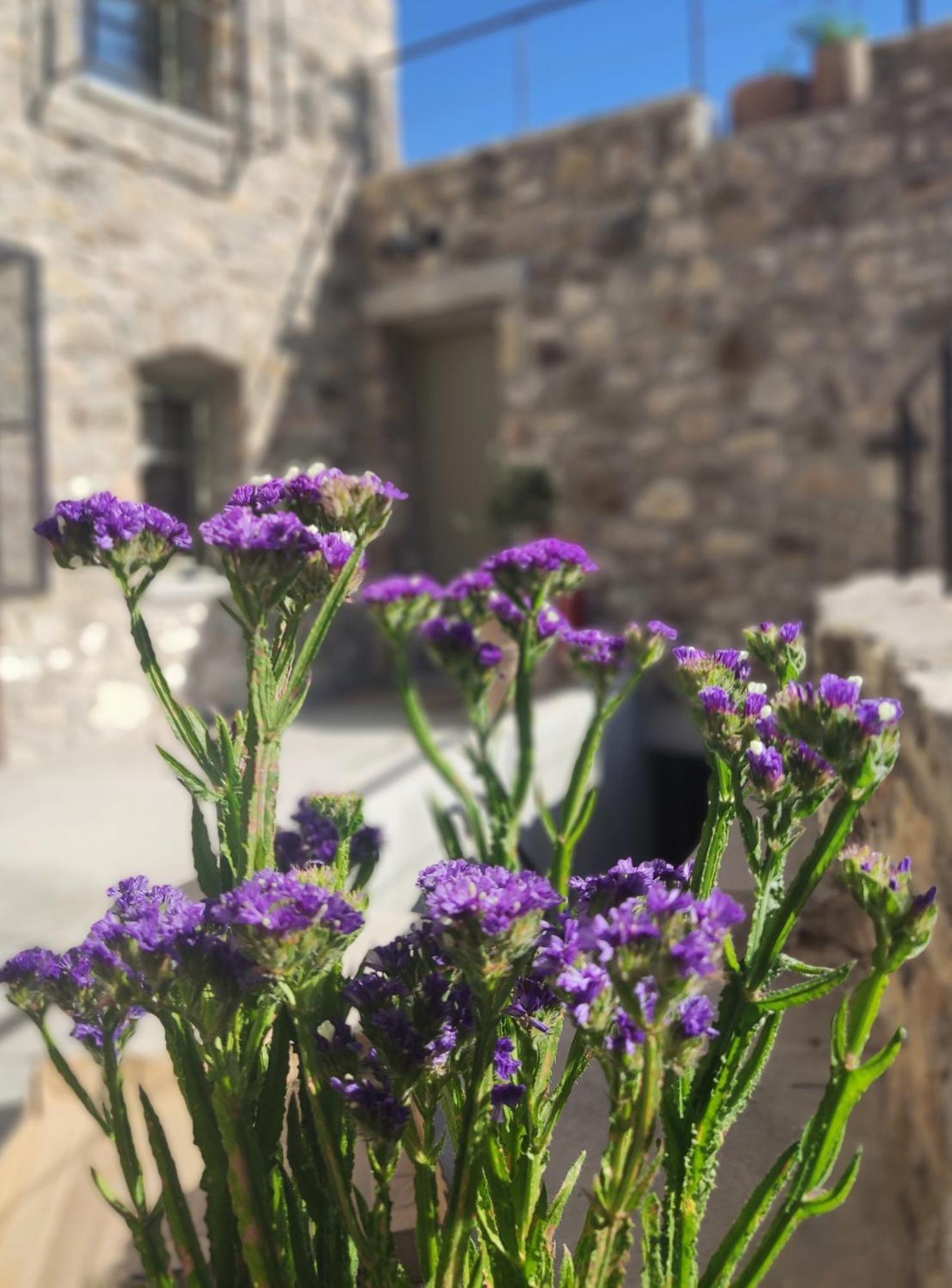 Pyrgi Cretan Living & Spa Pirgos  エクステリア 写真